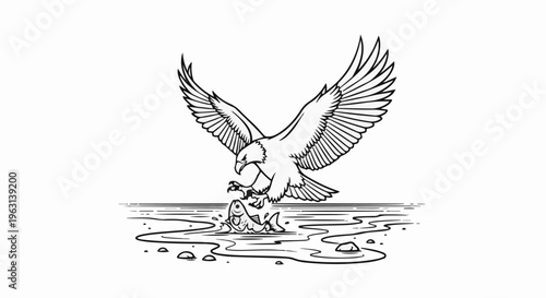 Eagle with outstretched wings swoops down to catch a fish in water