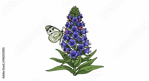 Delicate white butterfly rests on a vibrant purple flower spike