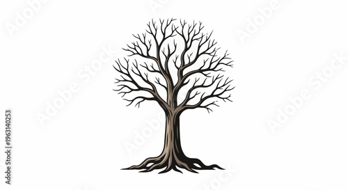 Detailed illustration of a deciduous tree, bare in winter