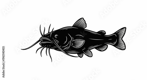 Detailed black and white illustration of a catfish with long barbels