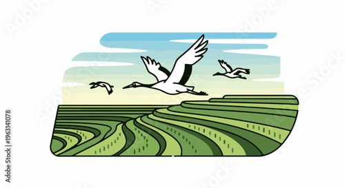 Elegant cranes soar over lush green terraced fields under a pastel sky