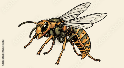 Detailed illustration of a hornet with orange and dark green segmented body