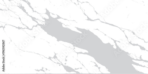 A detailed vector illustration of a white paint texture world map outline with black and white continent silhouettes showing country borders and geography