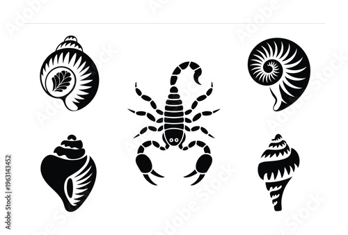Collection of Black and White Silhouettes of Seashells and a Scorpion