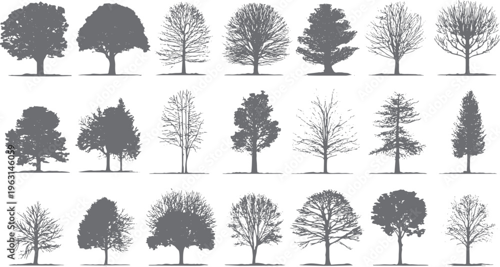 Fototapeta premium Collection of diverse grey tree silhouettes with detailed branches and foliage against a white background