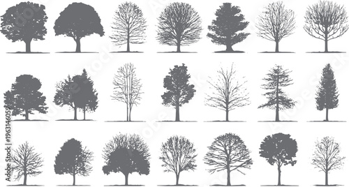 Collection of diverse grey tree silhouettes with detailed branches and foliage against a white background