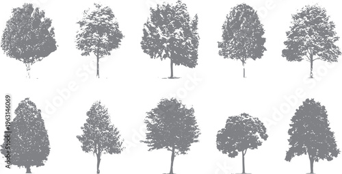 Ten different grey deciduous trees with textured foliage and simple trunks arranged in two rows on a white background