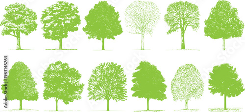 Collection of twelve green tree with detailed foliage and trunks on a white background nature plant