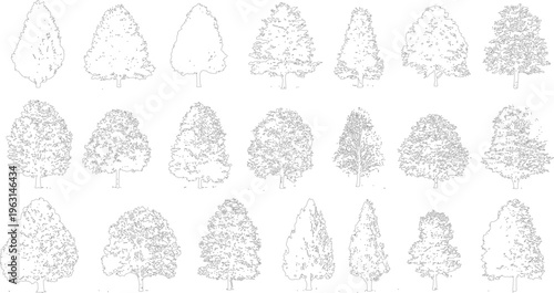 Collection of black and white line of deciduous and coniferous trees in various shapes and sizes outline
