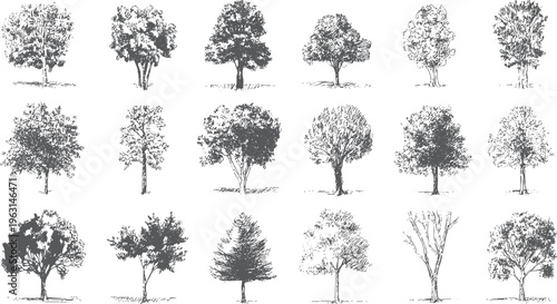Collection of fifteen diverse hand drawn style trees in various shapes and sizes on a white background