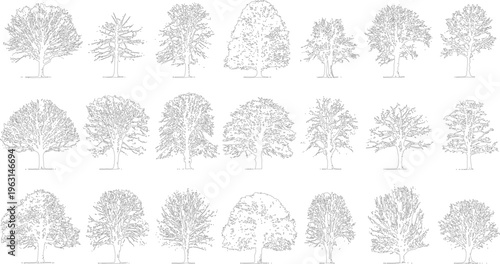 Collection of black and white line of various deciduous and coniferous trees with detailed branches and foliage