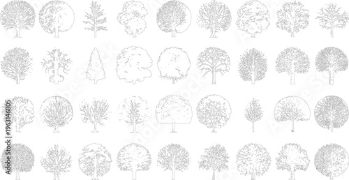 Collection of diverse line of deciduous and coniferous trees in various shapes and sizes nature plant