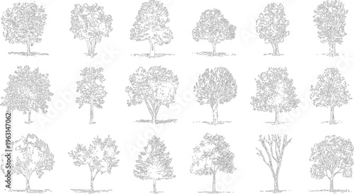 Collection of fifteen black and white line of various deciduous and coniferous trees with detailed foliage and visible roots and ground