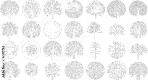 Collection of black and white line of various deciduous and coniferous trees viewed from above and side profile