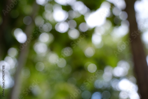 Konstfotografi Blurred background, green grains, can be used as an aesthetic background, its use is very flexible
