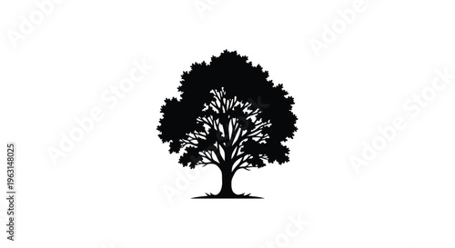 A dark tree form stands boldly against a bright white background silhouette