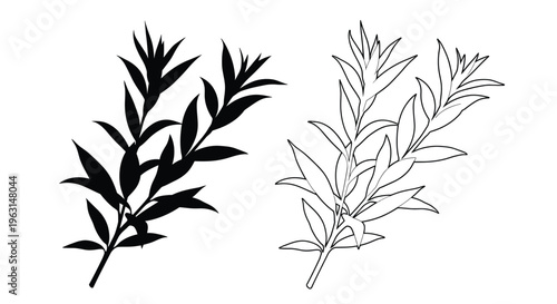 Two sprigs of leaves displayed in a striking black silhouette