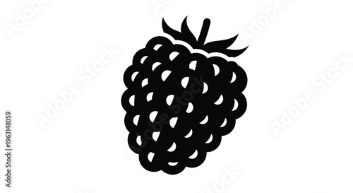 A detailed black raspberry shape against a white background silhouette