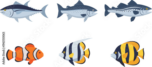 Collection of diverse fish species illustration, aquatic life concept showing tropical and cold‑water varieties, colorful marine biodiversity and underwater nature theme artwork