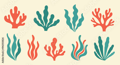 Coral reef marine life sea coral plants ocean aquatic flora