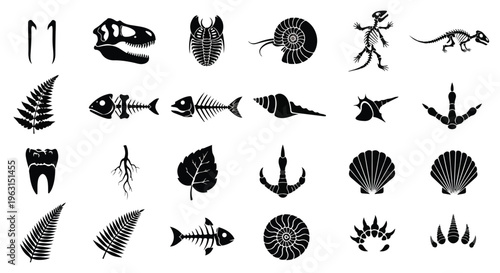 Collection of various black silhouettes of seashells, fossils, and prehistoric creatures on a white background.