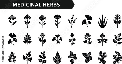 Black and white silhouette icon collection of various medicinal herbs including echinacea, ginkgo biloba, lavender, aloe vera, ginger, and peppermint for natural healing and wellness.