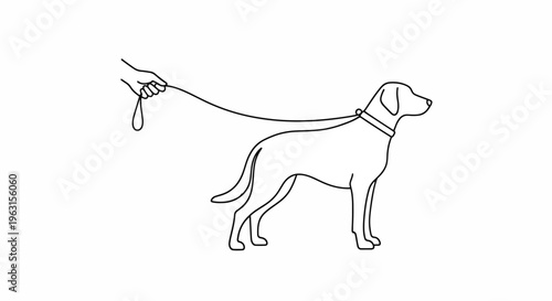 Person holding dog on leash in simple line art style drawing