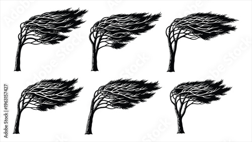 Black Solid Windblown Pine Tree Silhouette Set – Six Trees Vector Collection