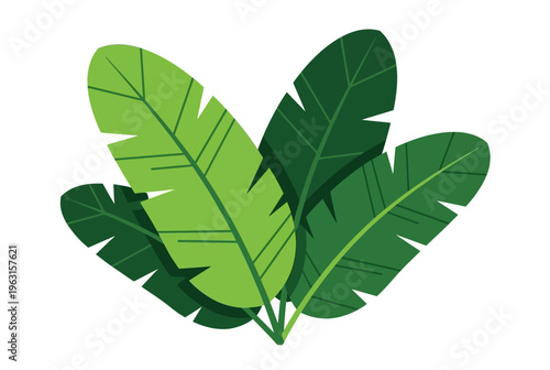 Vibrant Green Tropical Leaves Illustration for Exotic Nature Designs and Lush Jungle Foliage Decor