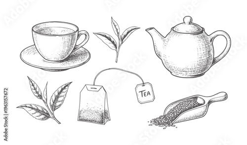 Hand drawn of tea cup teapot tea leaves tea bag and scoop saucer
