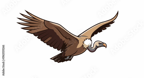 A brown vulture with outstretched wings soars gracefully through the sky