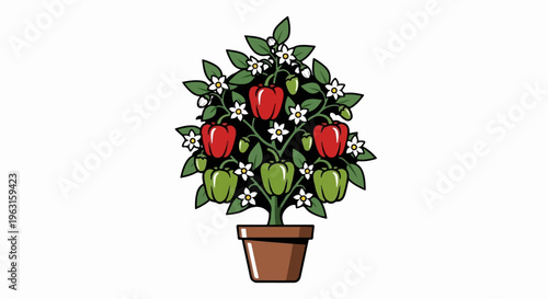 A potted plant with red and green bell peppers and white flowers