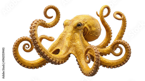 Golden octopus sculpture on white background