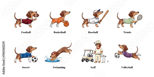 Set of funny cartoon dachshund cute animals in playful sports vector style featuring smiling characters for kids toy illustration collection