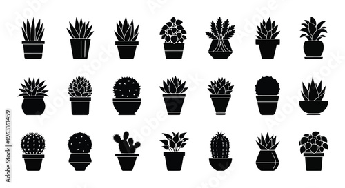 A collection of diverse potted succulents and cacti arranged in a visually appealing grid.