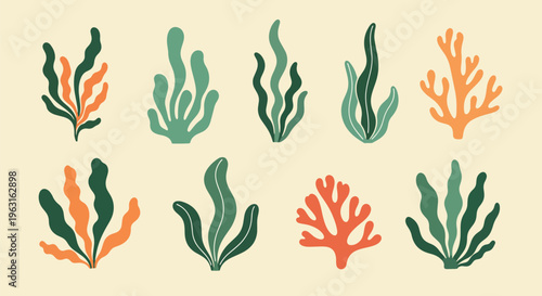 Coral reef seaweed plants in various green and orange hues on beige