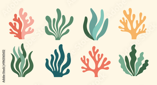 Colorful coral reef marine life decorative elements set