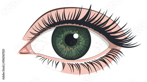 Green Eye Close-Up, Realistic Human Iris, Eyelash Detail, Cosmetic & Vision Focus