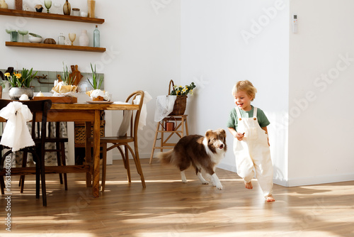 Little blonde boy with a border collie dog running at the Easter table. Child and pet in a cozy kitchen with Easter eggs, spring flowers, and traditional cake. Happy holiday atmosphere