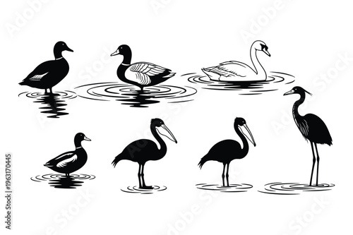 Water birds silhouette collection: ducks, swan, heron