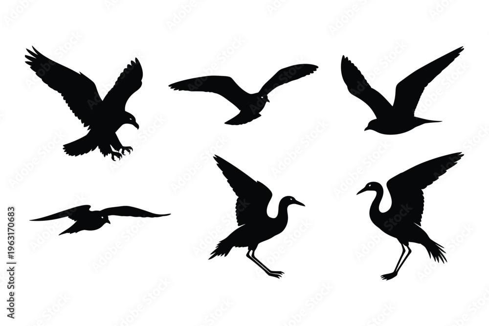 Obraz premium Flying bird silhouettes set: eagle, seagull, crane, bird in flight