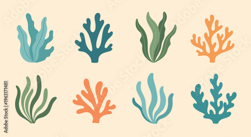 Colorful coral reef elements in various shapes and sizes arranged in rows on beige