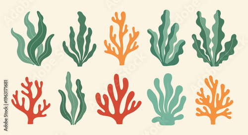 Colorful coral reef elements for ocean themed designs and patterns
