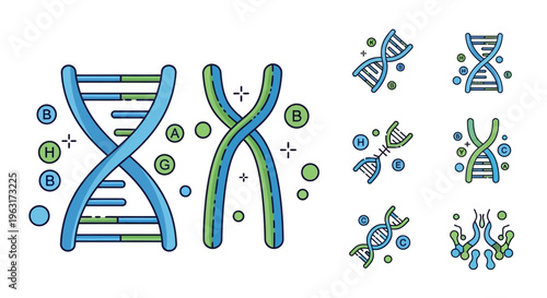 DNA icons set, vector illustration featuring DNA structure, double helix molecule, chromosome icon, and genetic symbols. Clean, minimal design with smooth lines, modern flat vector style, vibrant blue