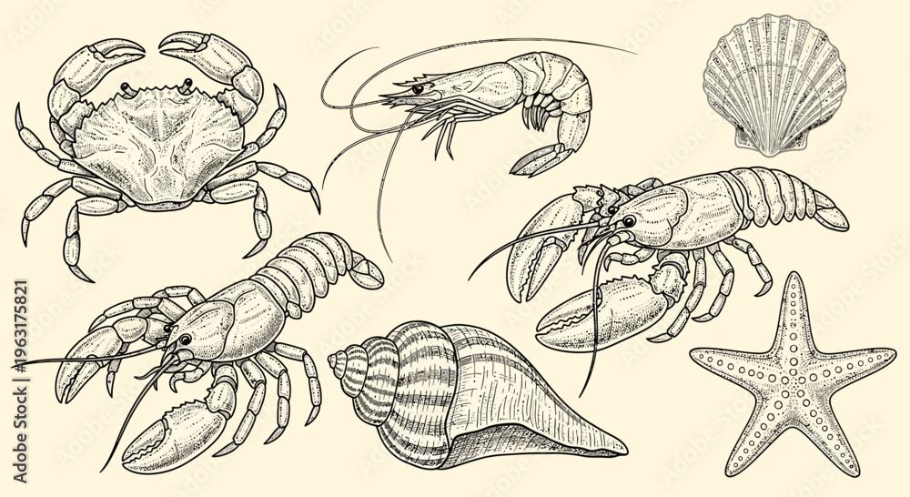 Obraz premium Vintage seafood engraving set with crab shrimp lobster shell