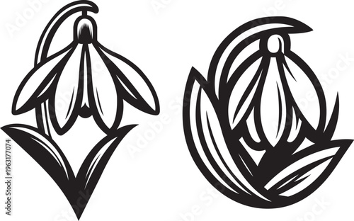  snowdrop vector stylized