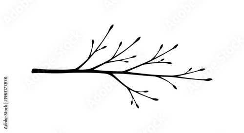 Black silhouette of a hand drawn tree branch with spring buds isolated on white background