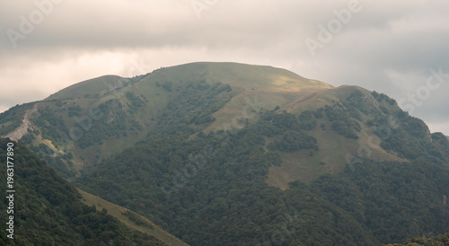 green meadows and forests in the mountains with fog and sky with clouds