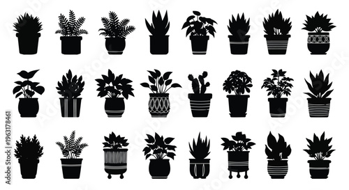 A collection of diverse potted plants in various styles and planters