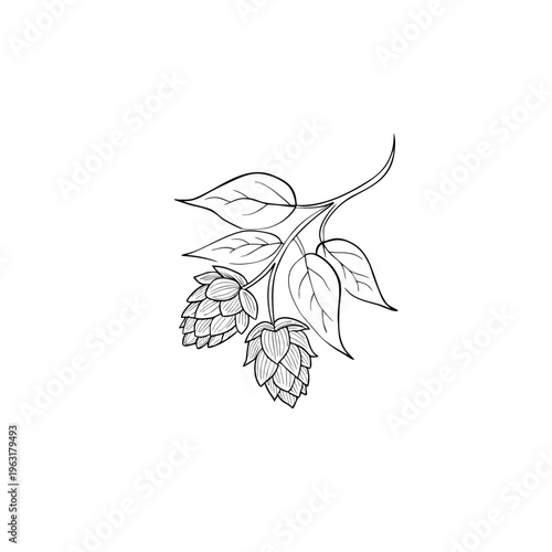 Vector Cut File Hops Branch Illustration Minimalist Line Art Engraving Botanical Design Beer Craft Brewing Logo Clipart